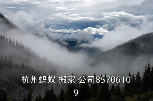 杭州蚂蚁 搬家 公司85706109
