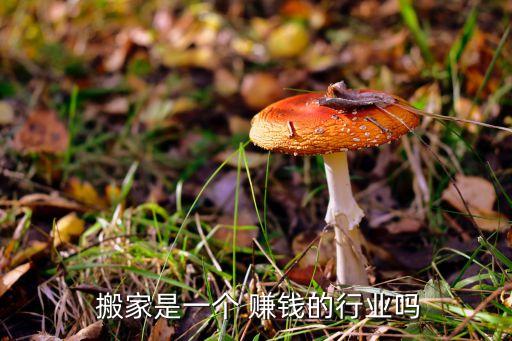  搬家是一个 赚钱的行业吗