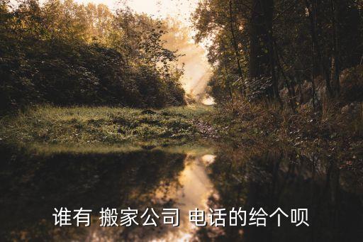萧山拉货搬家电话多少啊,滴滴拉货搬家电话