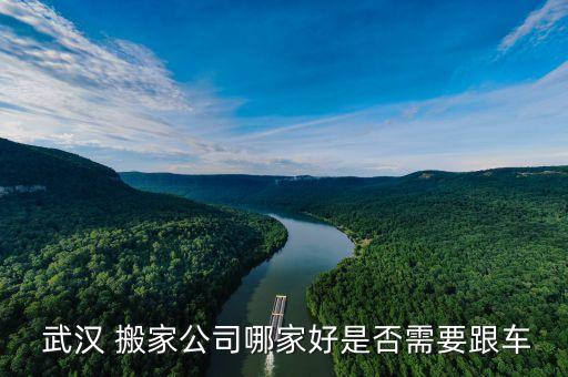  武汉 搬家公司哪家好是否需要跟车