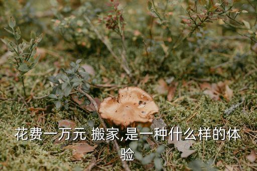 花费一万元 搬家,是一种什么样的体验