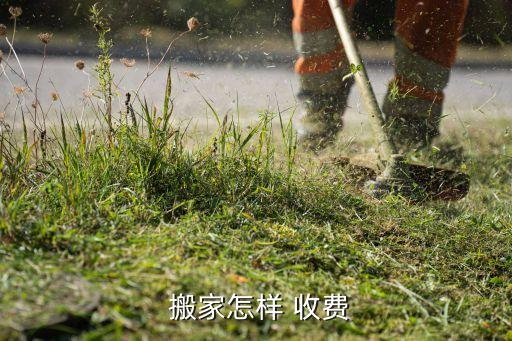  搬家怎样 收费
