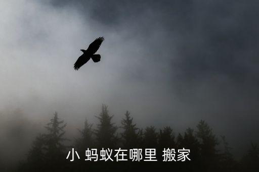 雨停后蚂蚁怎么搬家,蚂蚁同镇怎么停了