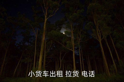 小货车出租 拉货 电话