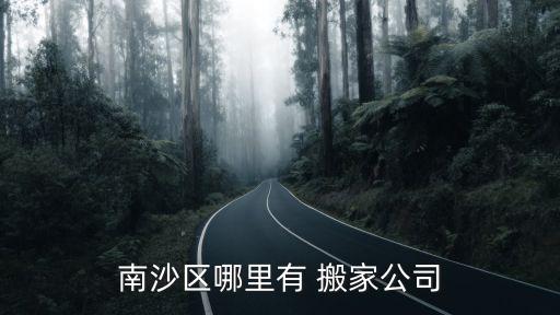 广州蚂蚁搬家神器宠物店