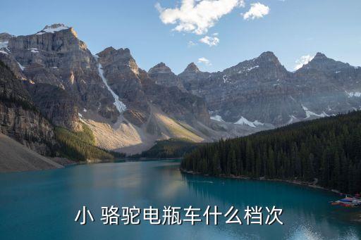 小骆驼搬家公司,宁波镇海骆驼搬家公司电话