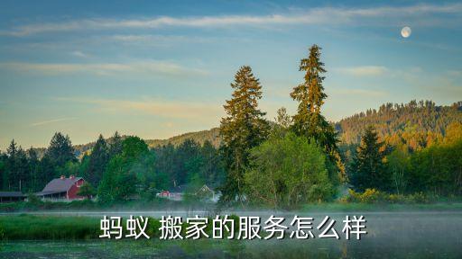  蚂蚁 搬家的服务怎么样