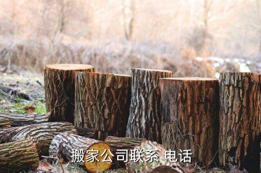 于都同城搬家电话多少号