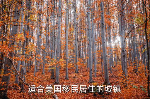 适合美国移民居住的城镇