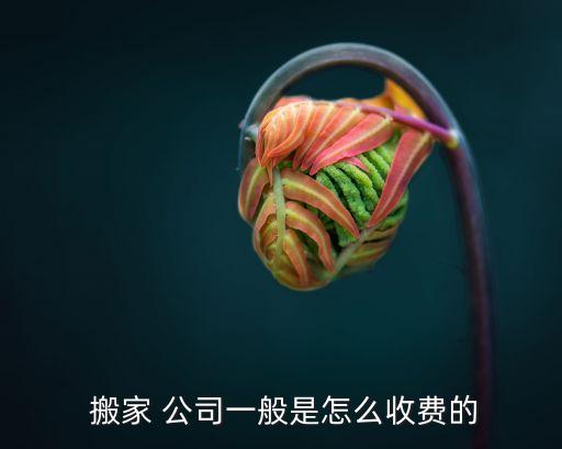  搬家 公司一般是怎么收费的