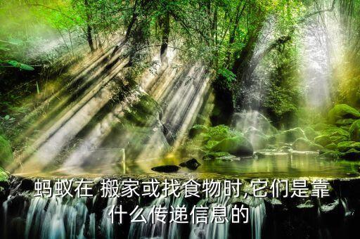  蚂蚁在 搬家或找食物时,它们是靠什么传递信息的