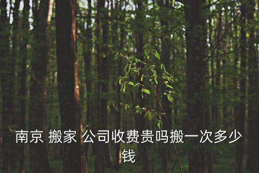 南京 搬家 公司收费贵吗搬一次多少钱