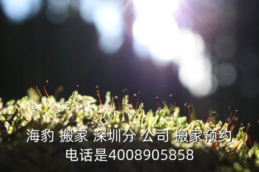 深圳阿宝搬家公司,深圳搬家公司排名前十名