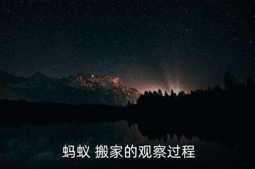  蚂蚁 搬家的观察过程