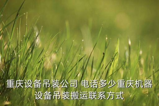 重庆设备吊装公司 电话多少重庆机器设备吊装搬运联系方式