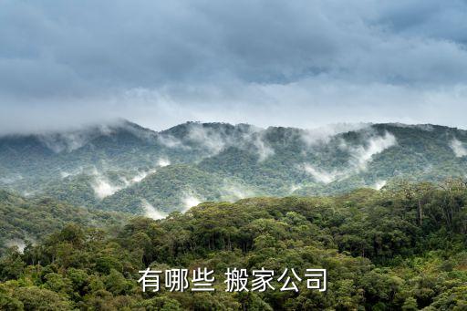 有哪些 搬家公司