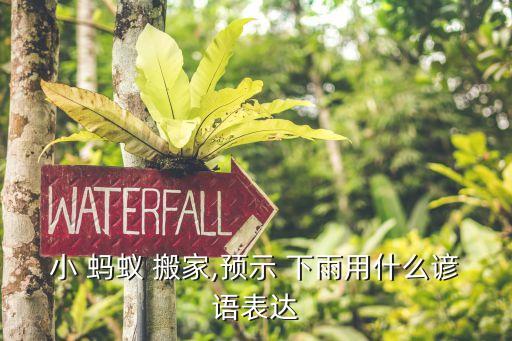 蚂蚁搬家和下雨有关,下雨前蚂蚁搬家作文300字