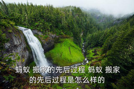  蚂蚁 搬家的先后过程 蚂蚁 搬家的先后过程是怎么样的