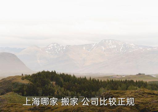 上海哪家 搬家 公司比较正规