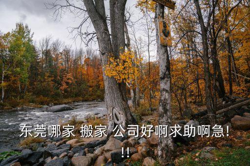 东莞哪家 搬家 公司好啊求助啊急!!!
