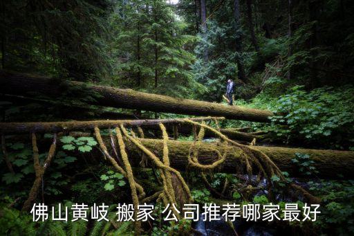 佛山黄岐 搬家 公司推荐哪家最好