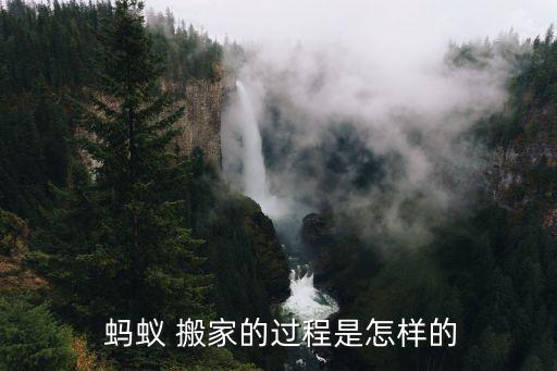 呼市小蚂蚁搬家电话,呼市蚂蚁搬家电话是多少