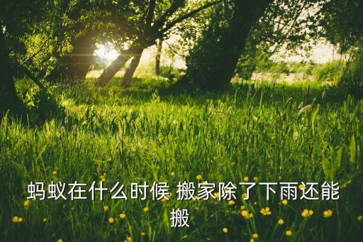 镇江蚂蚁搬家新闻