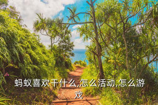  蚂蚁喜欢干什么,怎么活动,怎么游戏