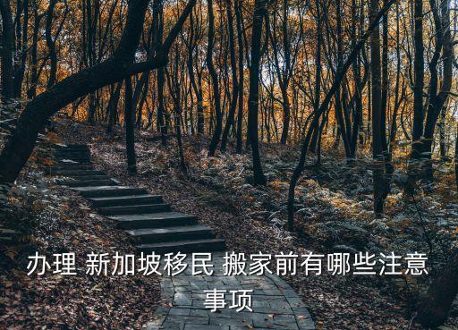 办理 新加坡移民 搬家前有哪些注意事项