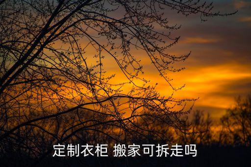 定制衣柜 搬家可拆走吗
