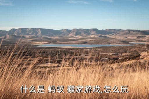什么是 蚂蚁 搬家游戏,怎么玩