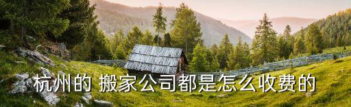 杭州的 搬家公司都是怎么收费的