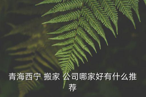 青海西宁 搬家 公司哪家好有什么推荐
