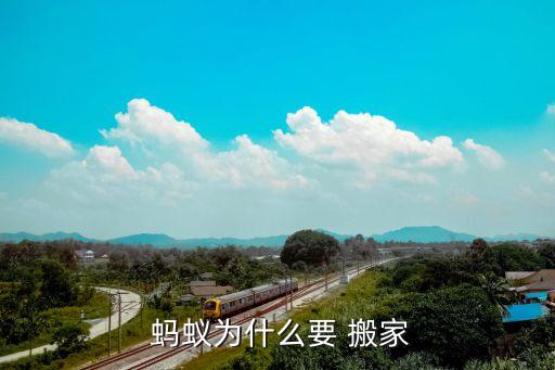  蚂蚁为什么要 搬家