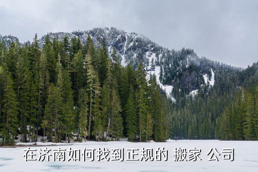 长山有搬家公司吗在哪里