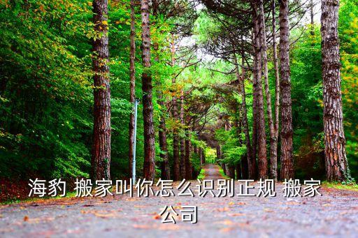 宁乡市的搬家公司,宁乡搬家公司电话附近联系方式