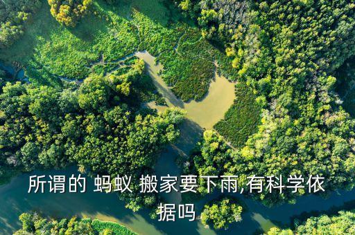 所谓的 蚂蚁 搬家要下雨,有科学依据吗