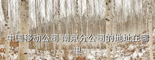 南京新街口搬家电话