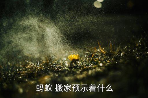  蚂蚁 搬家预示着什么
