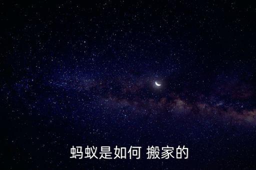  蚂蚁是如何 搬家的