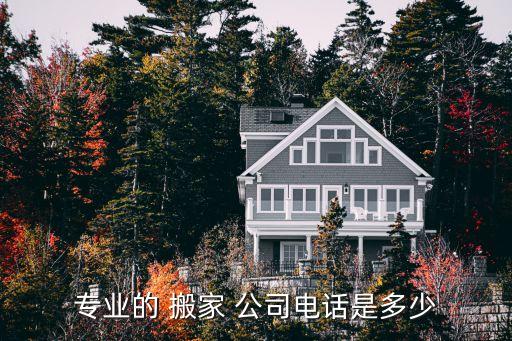 专业的 搬家 公司电话是多少