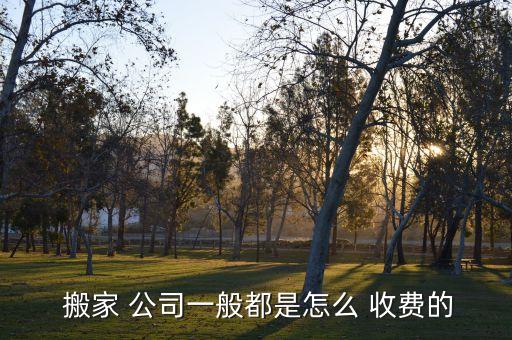  搬家 公司一般都是怎么 收费的