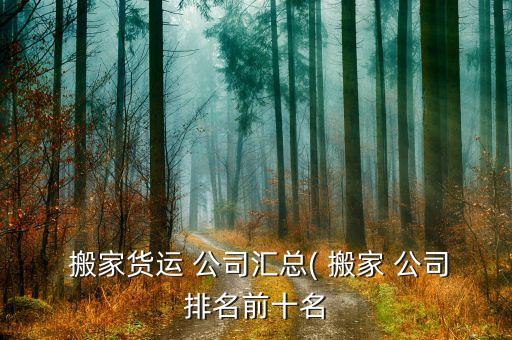 辽源市至天津长途搬家公司,搬家公司长途搬家天津