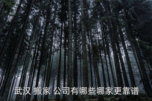  武汉 搬家 公司有哪些哪家更靠谱