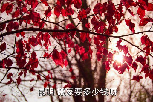 昆明 搬家要多少钱呀