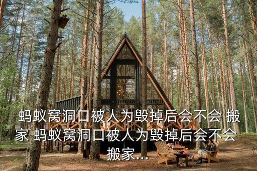  蚂蚁窝洞口被人为毁掉后会不会 搬家 蚂蚁窝洞口被人为毁掉后会不会 搬家...