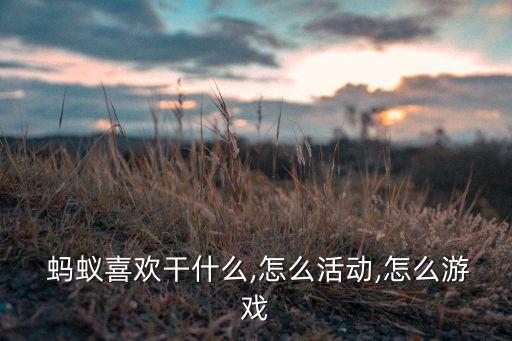 蚂蚁喜欢干什么,怎么活动,怎么游戏