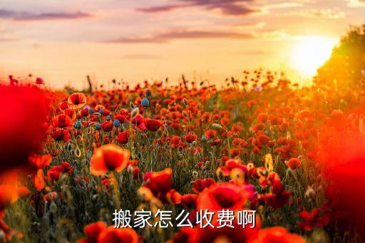  搬家怎么收费啊