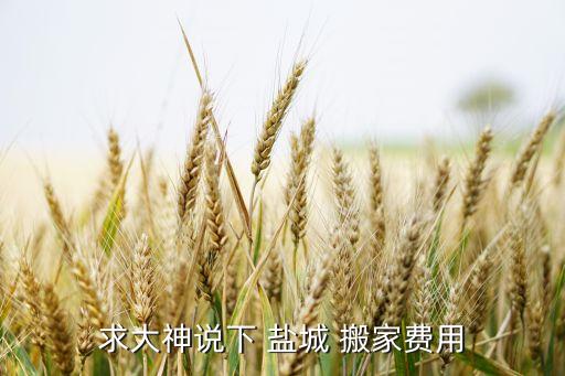 求大神说下 盐城 搬家费用