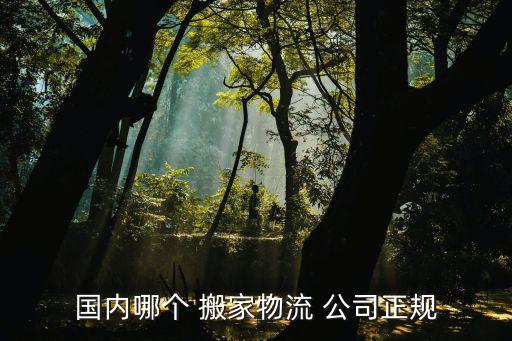 国内哪个 搬家物流 公司正规